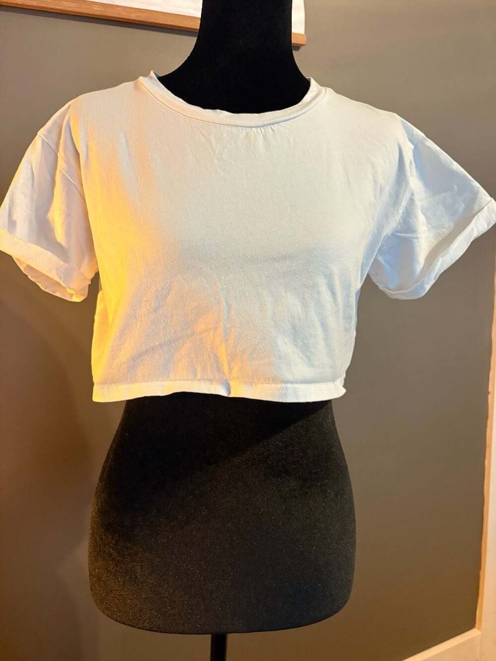White Fox Women's White Solid Crew Neck Cropped T-Shirt